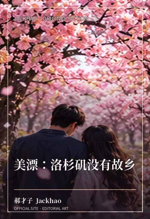 《美漂：洛杉矶没有故乡》官网配图
