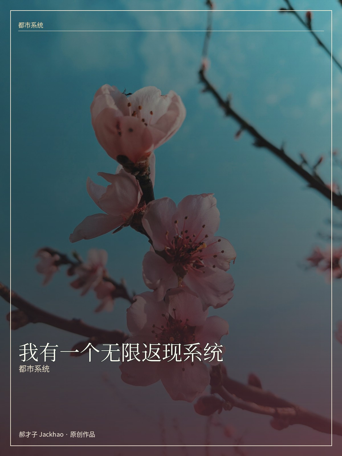 我有一个无限返现系统 小说封面