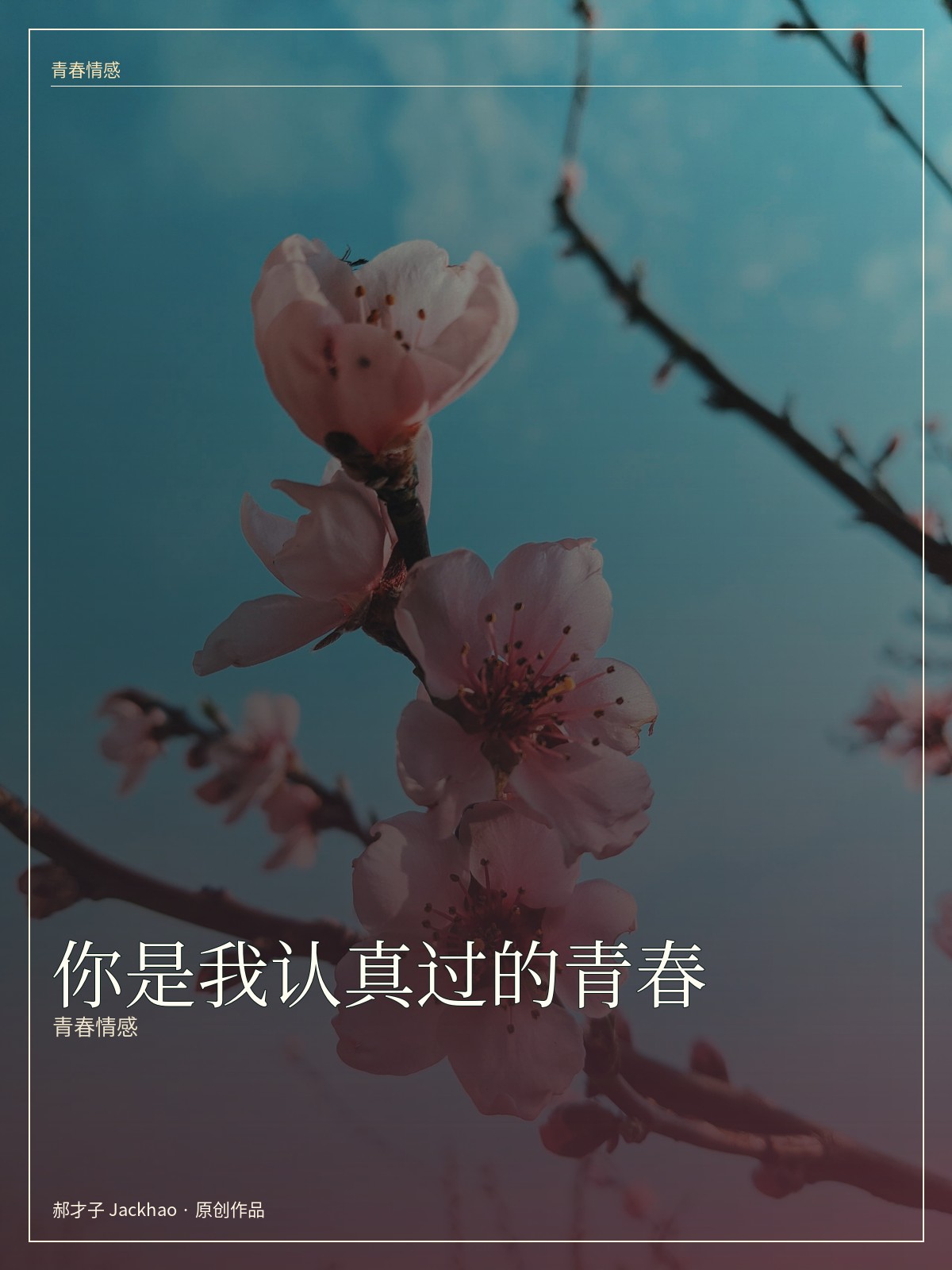 你是我认真过的青春 小说封面