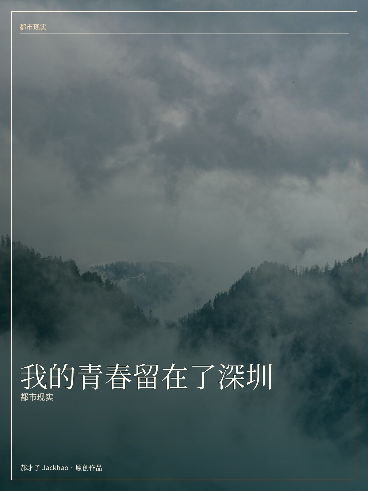 我的青春留在了深圳 小说封面
