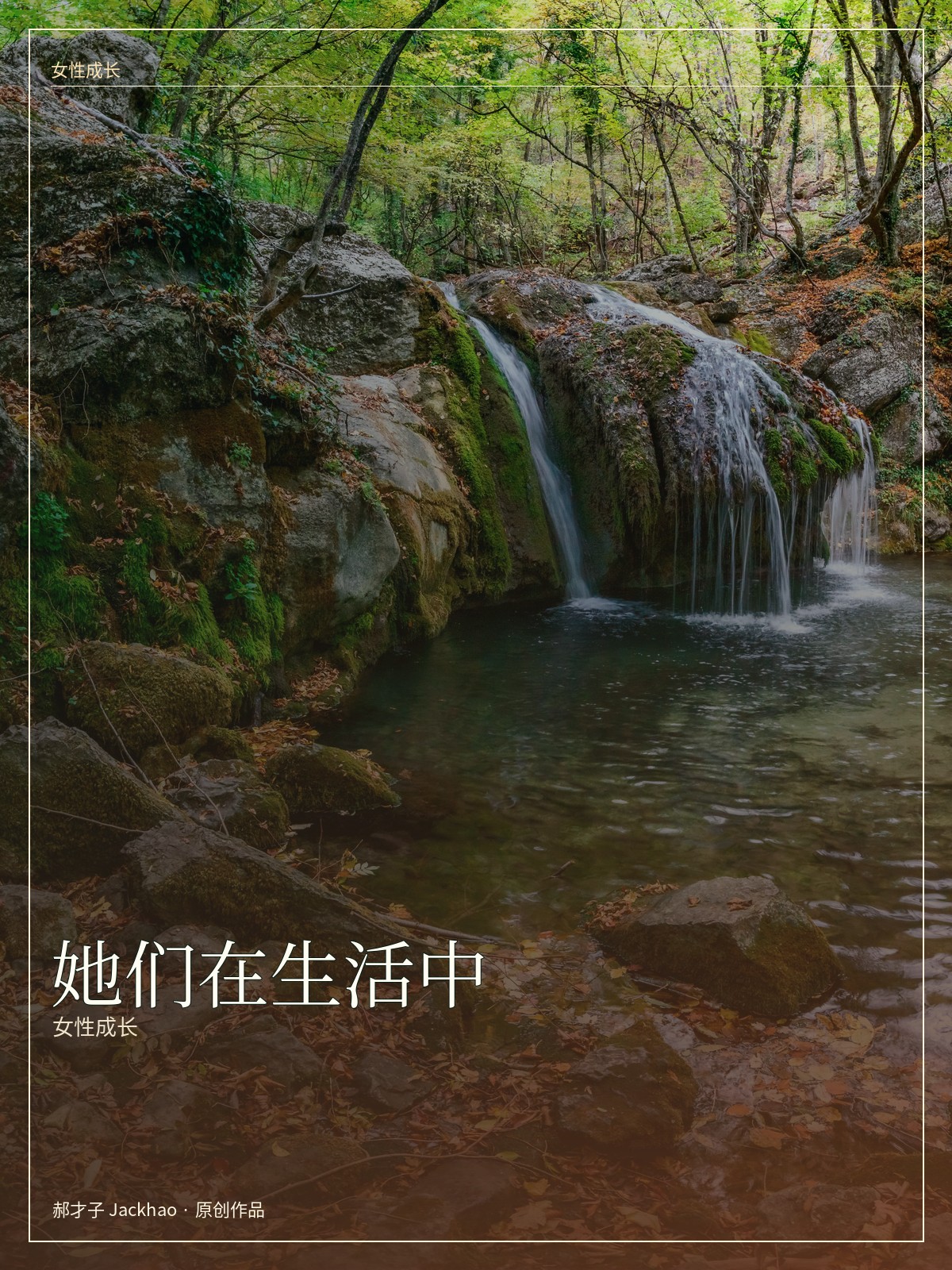 她们在生活中 小说封面